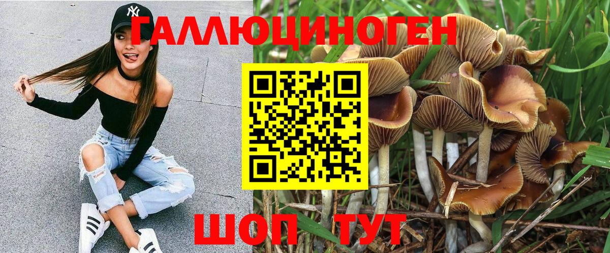 Галлюциногенные грибы ЛСД  Псилоцибиновые грибы мухоморы  Вход с VPN  Кизилюрт 